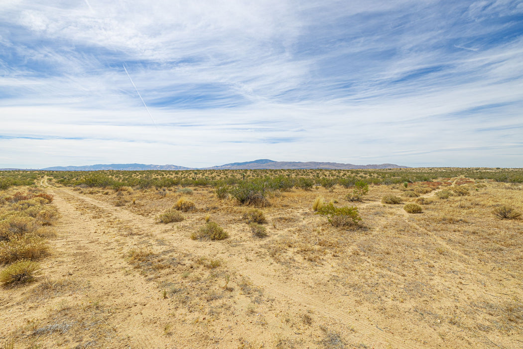 15 Acres Rosamond, Kern County, CA