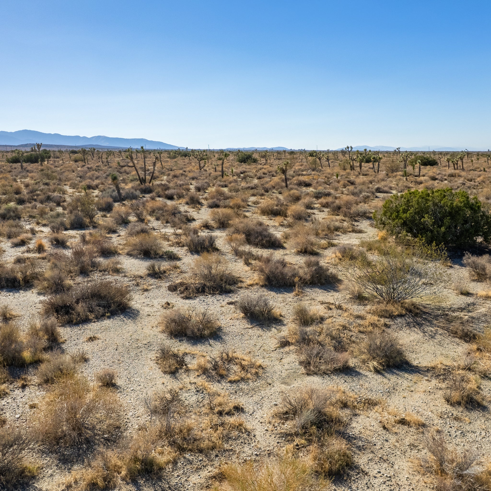 10 Acres Llano, Los Angeles County, CA