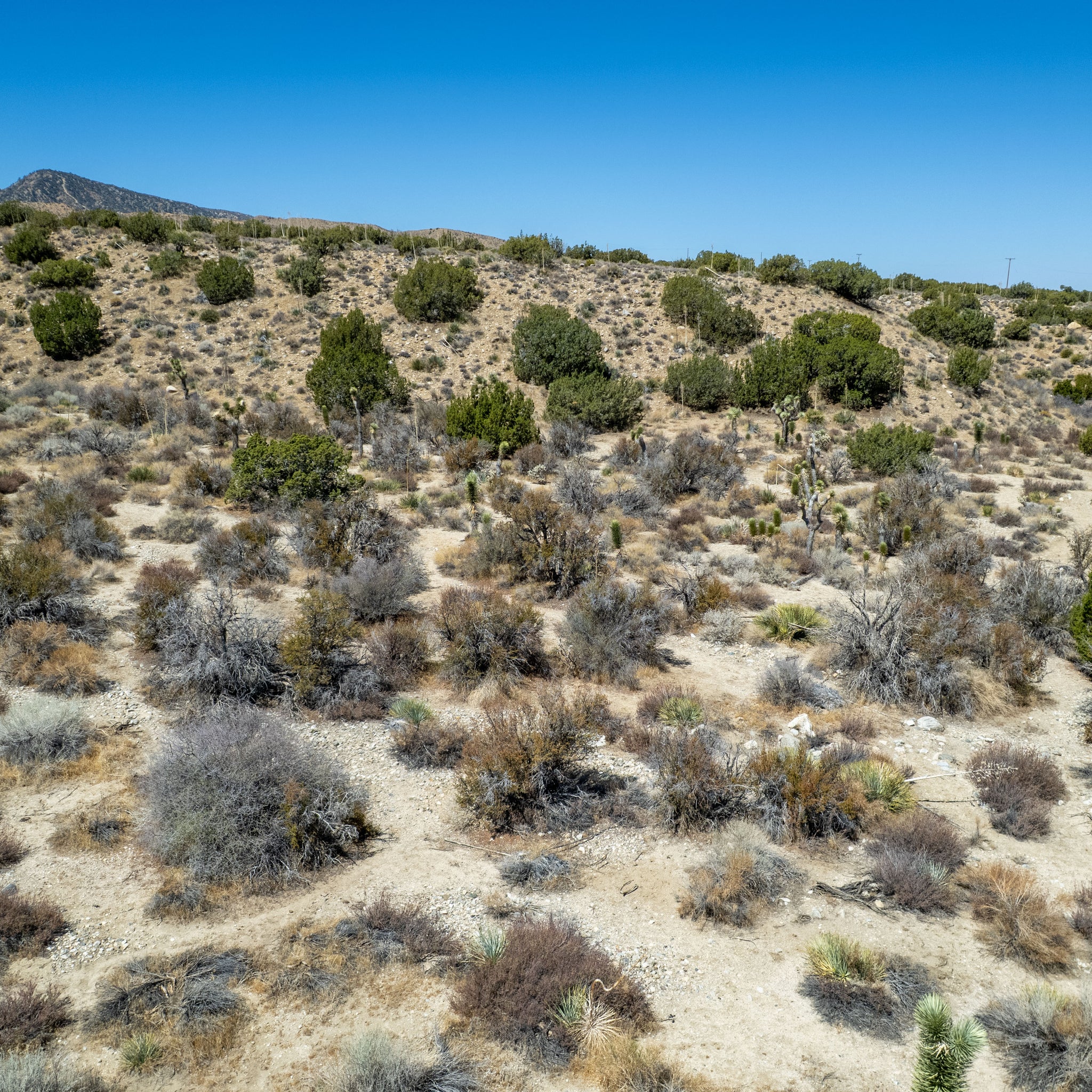 10 Acres Llano, Los Angeles County, CA (Power)