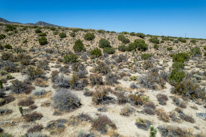 10 Acres Llano, Los Angeles County, CA (Power)