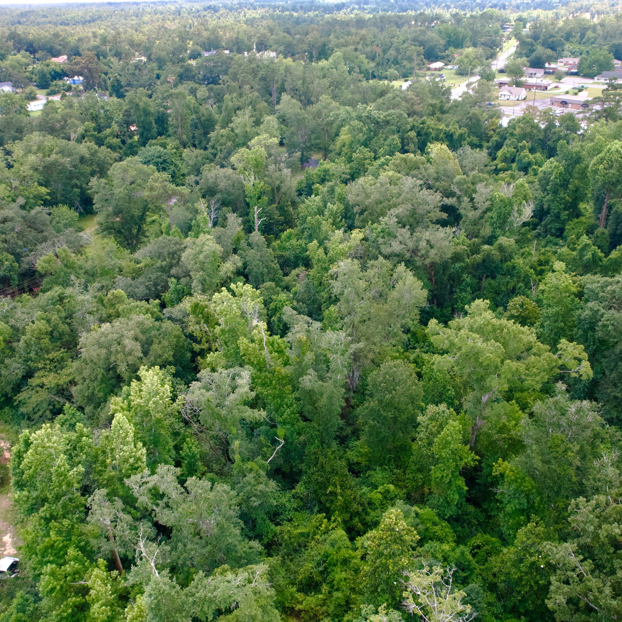 0.51 Acre Marianna, Jackson County, FL (Power, Water, & Paved Road)