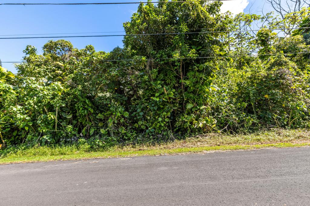 0.28 Pāhoa, Hawaii County, HI (Power, Water, & Paved Road)