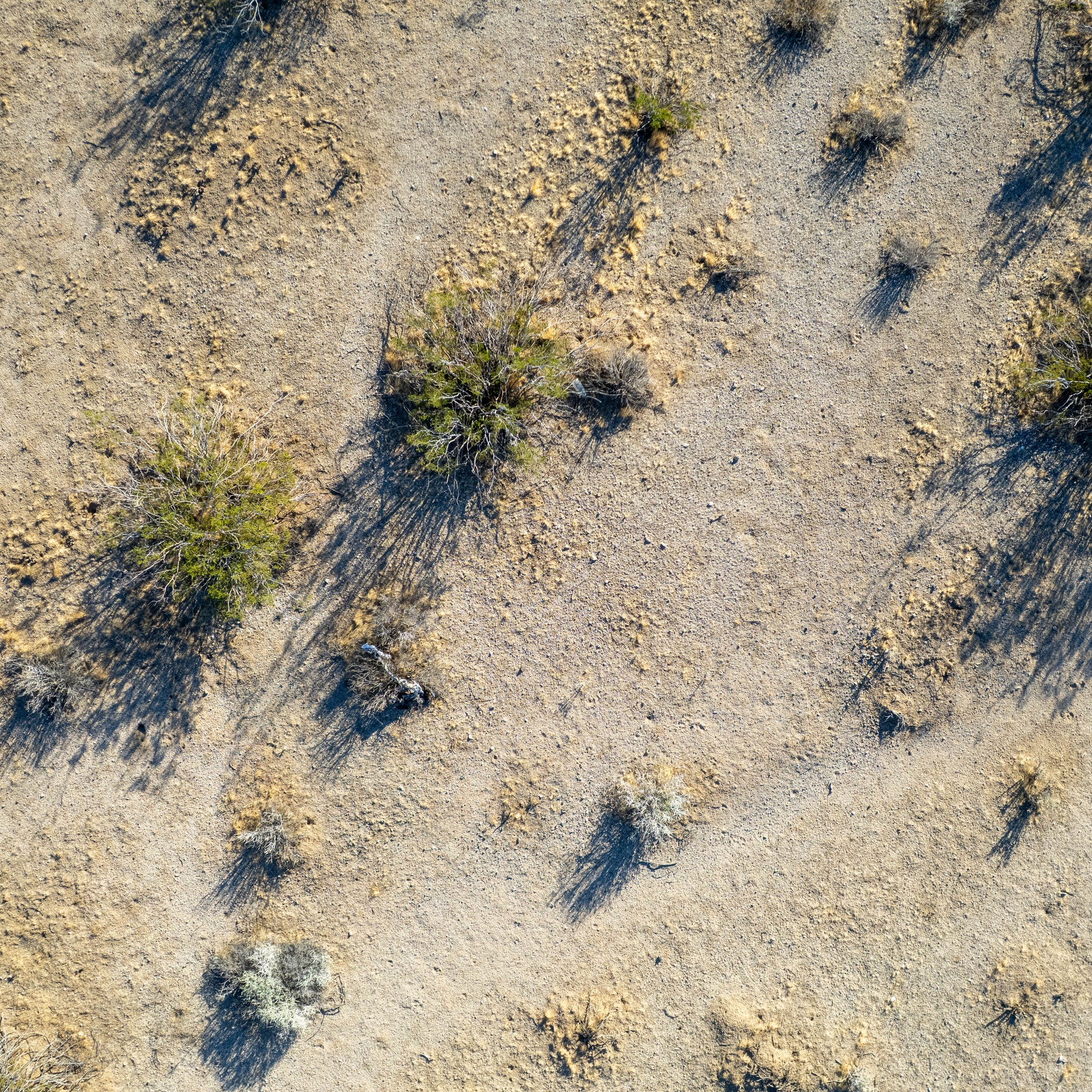 10 Acres Helendale, San Bernardino County, CA