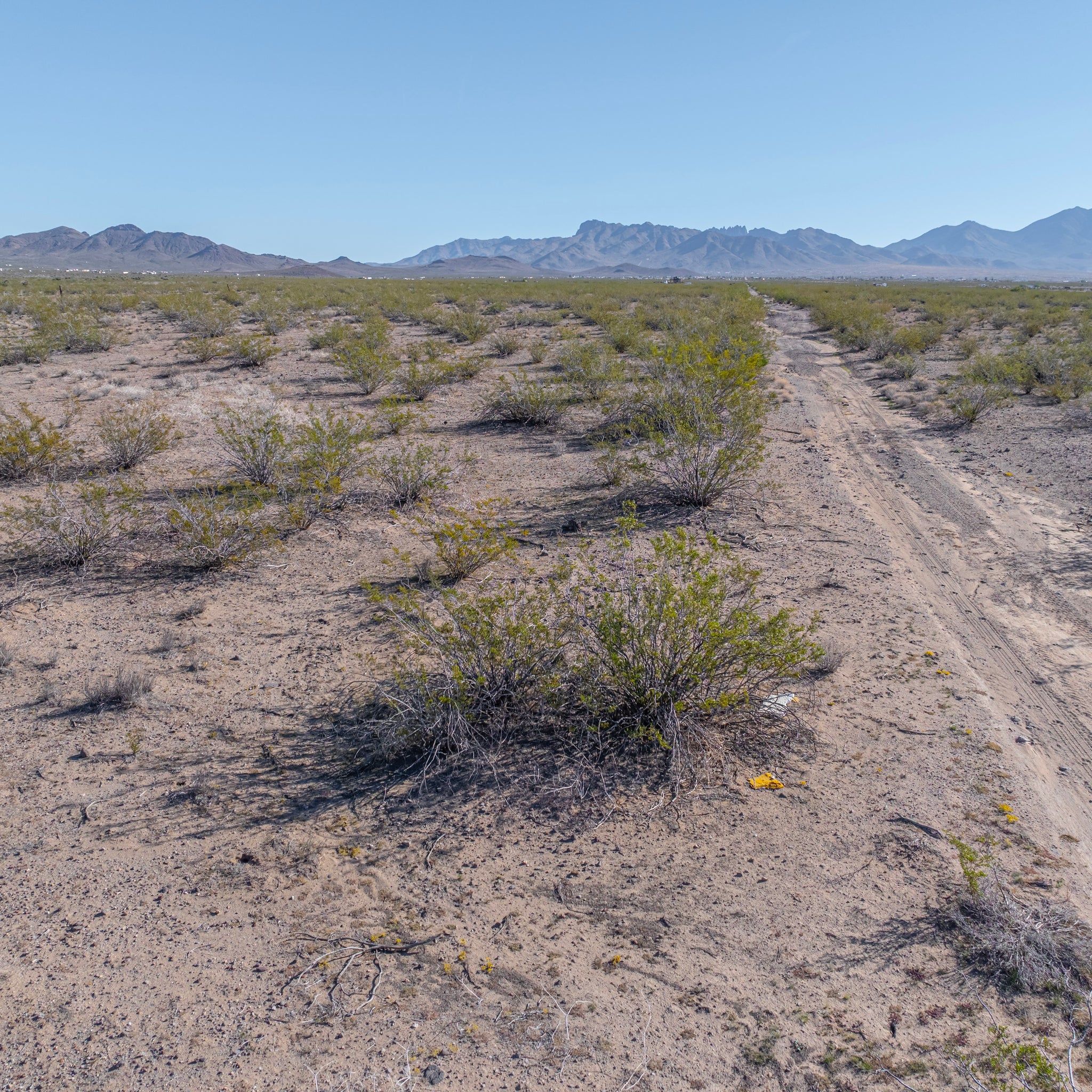 5 Acres Dolan Springs, Mohave County, AZ