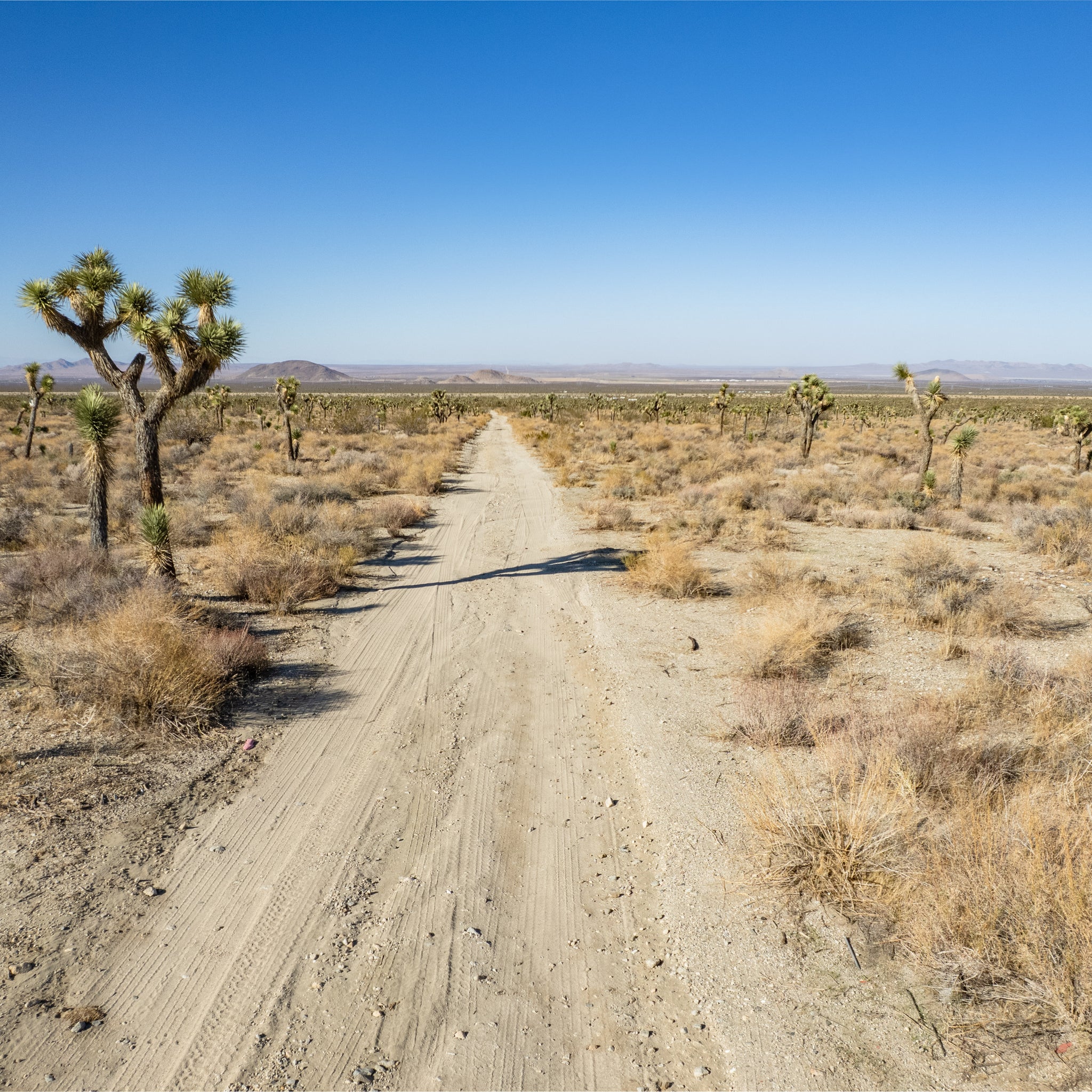 10 Acres Llano, Los Angeles County, CA