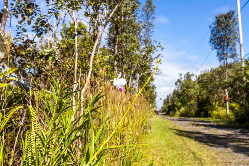3 Acres Kurtistown, Hawaii County, HI (Power)