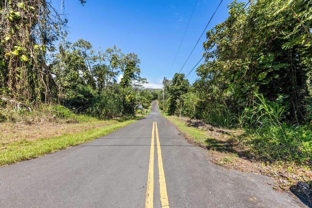 0.28 Pāhoa, Hawaii County, HI (Power, Water, & Paved Road)