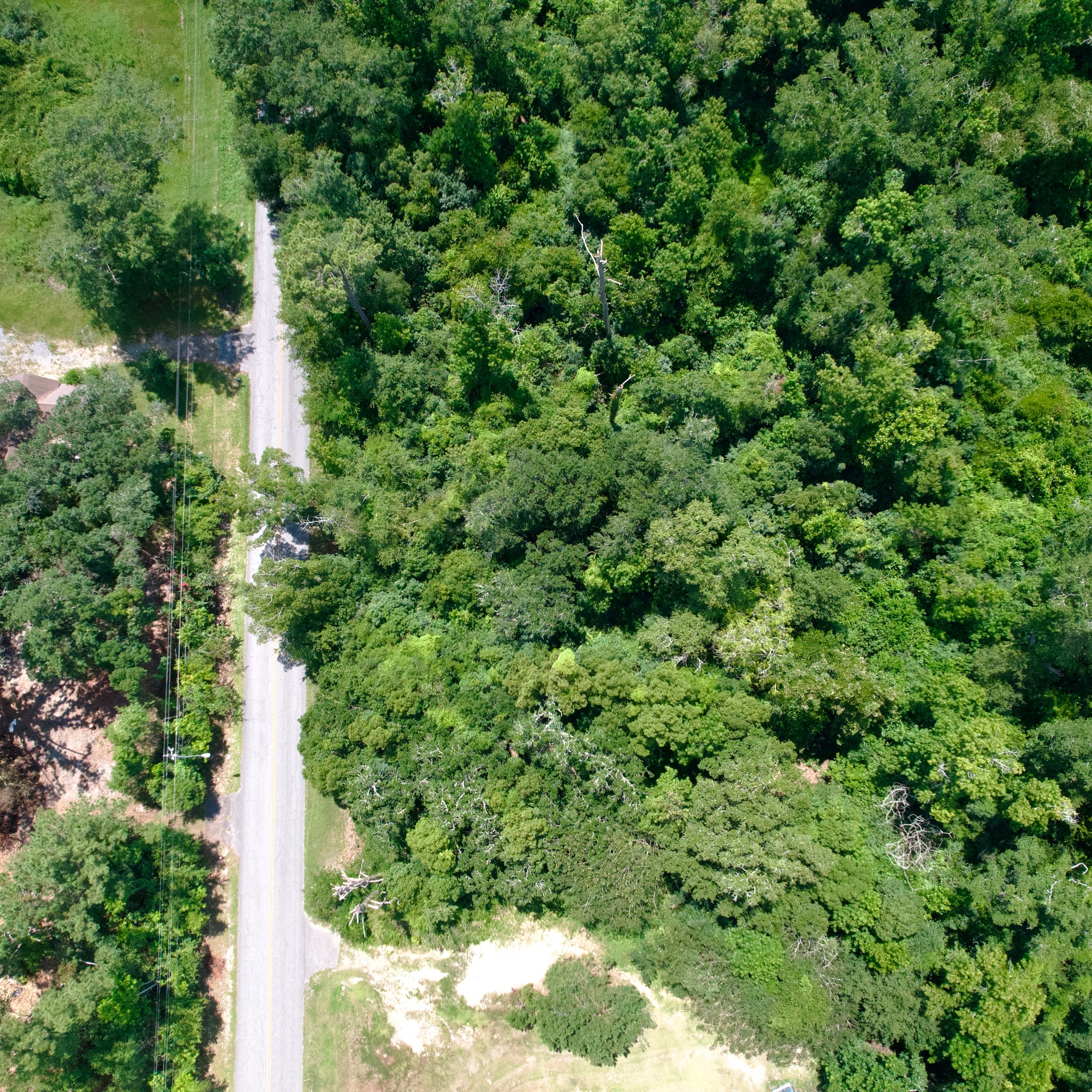 0.51 Acre Marianna, Jackson County, FL (Power, Water, & Paved Road)