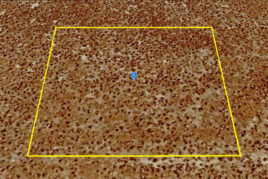2.27 Acres Lancaster, Los Angeles County, CA