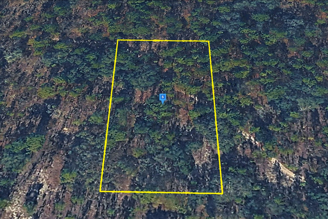 1.25 Acres Morriston, Levy County, FL