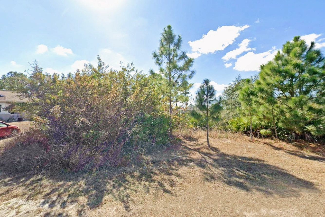 0.25 Acre Lehigh Acres, Lee County, FL (Power & Paved Road)