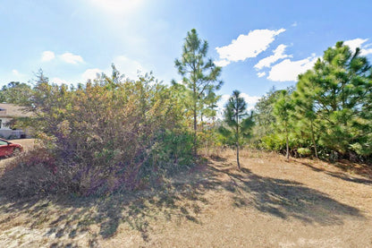 0.25 Acre Lehigh Acres, Lee County, FL (Power & Paved Road)