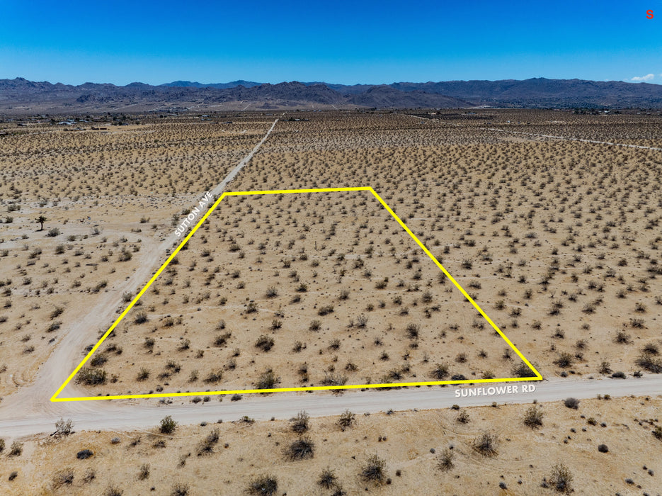 5 Acres Joshua Tree, San Bernardino County, CA