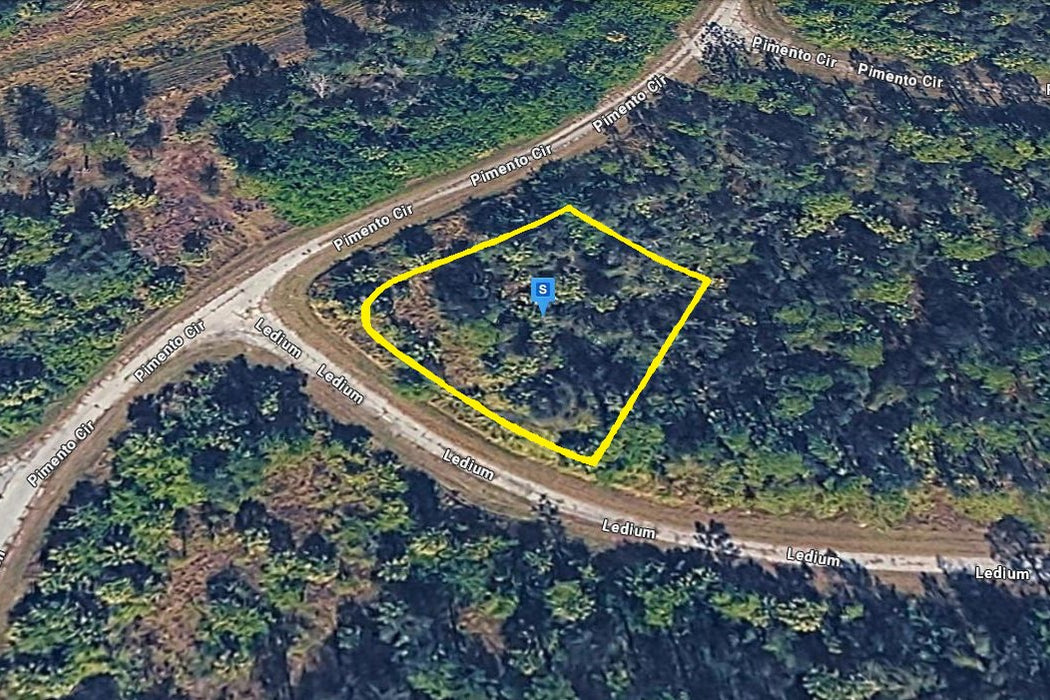 0.31 Acre North Port, Sarasota County, FL (Paved Road)