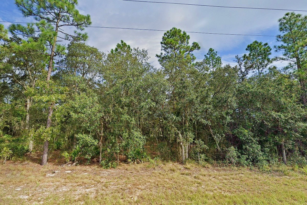 0.24 Acre Bronson, Levy County, FL (Power & Paved Road)