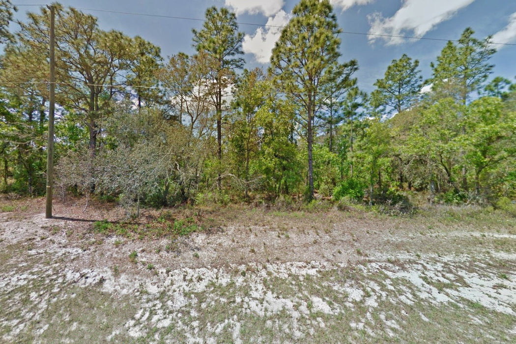 0.24 Acre Ocala, Marion County, FL (Power & Paved Road)