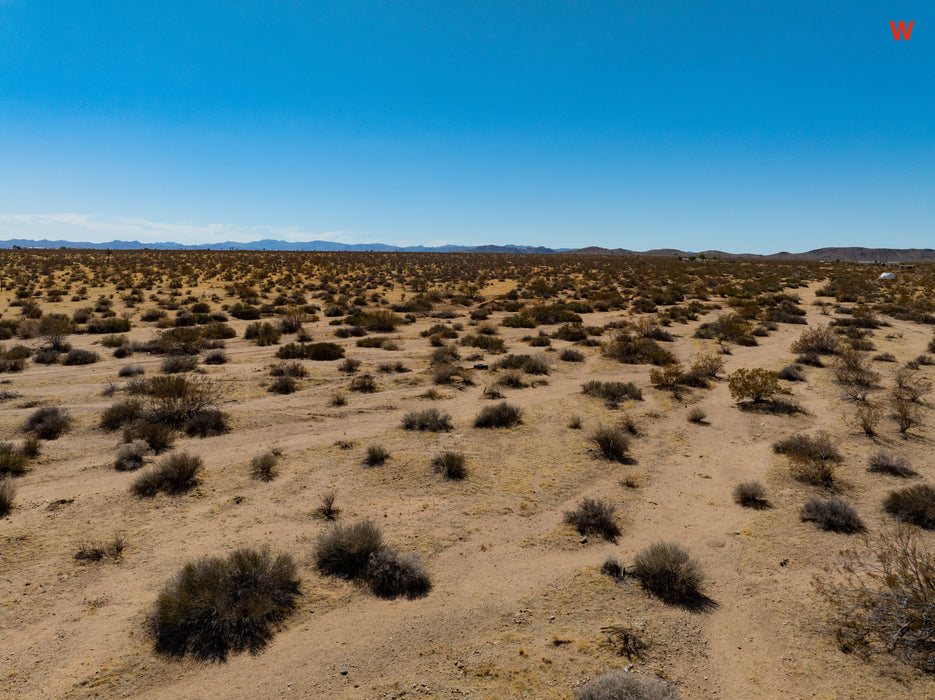 5 Acres Joshua Tree, San Bernardino County, CA