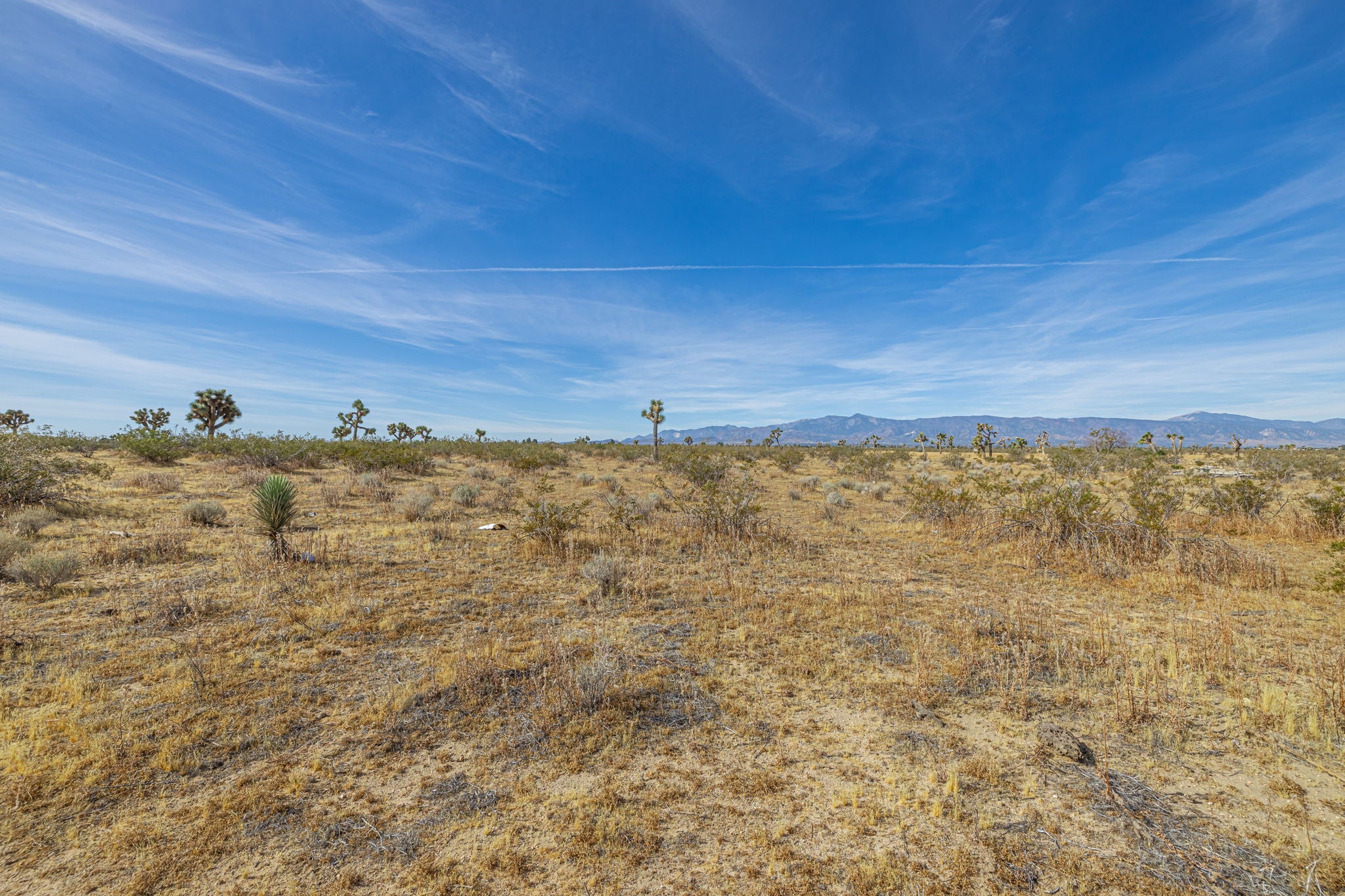 5 Acres Phelan, San Bernardino County, CA