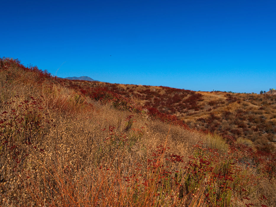 0.21 Acre Lake Elsinore, Riverside County, CA