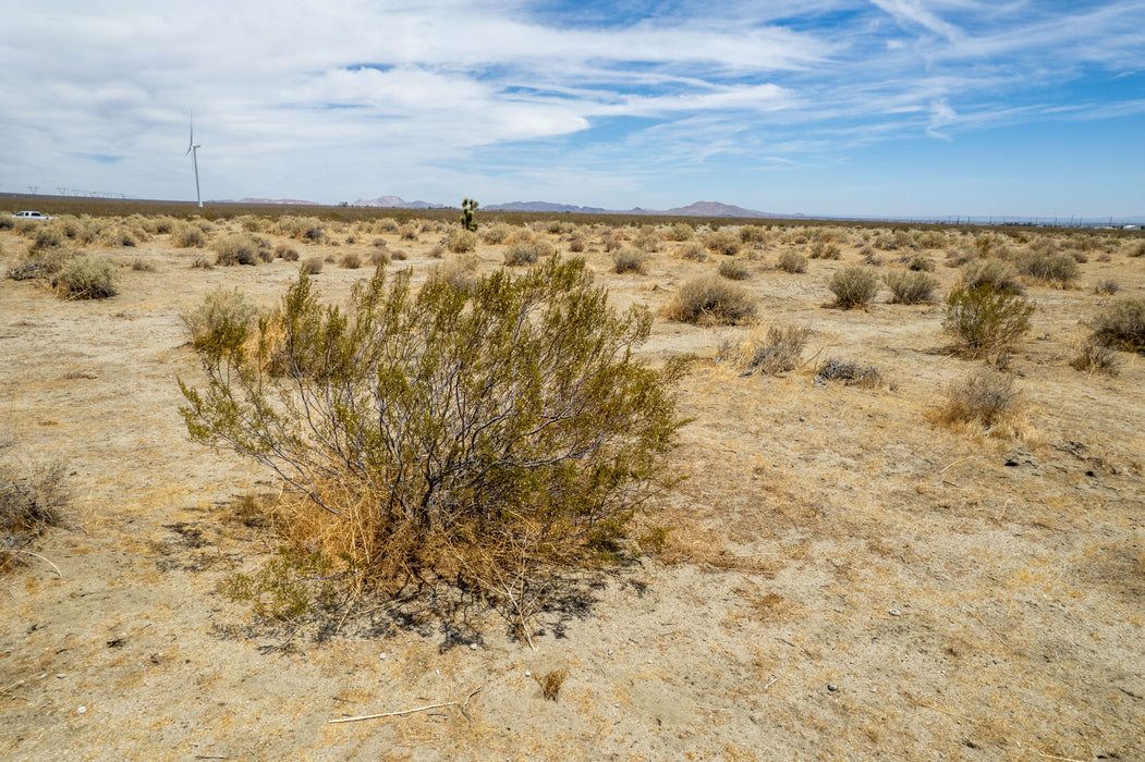 7.50 Acres Rosamond, Kern County, CA