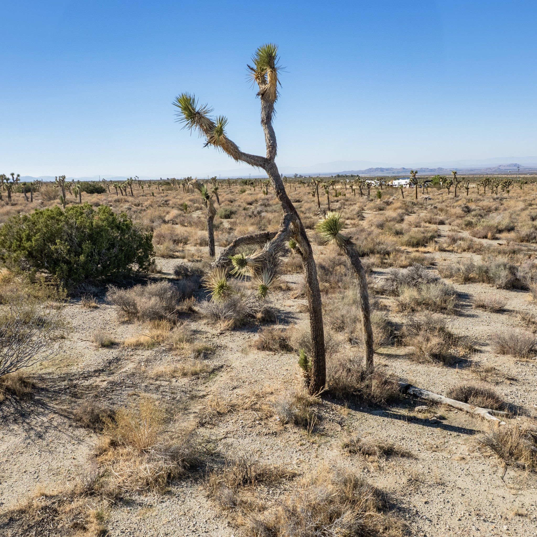 10 Acres Llano, Los Angeles County, CA