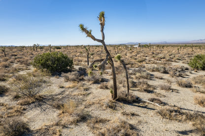 10 Acres Llano, Los Angeles County, CA