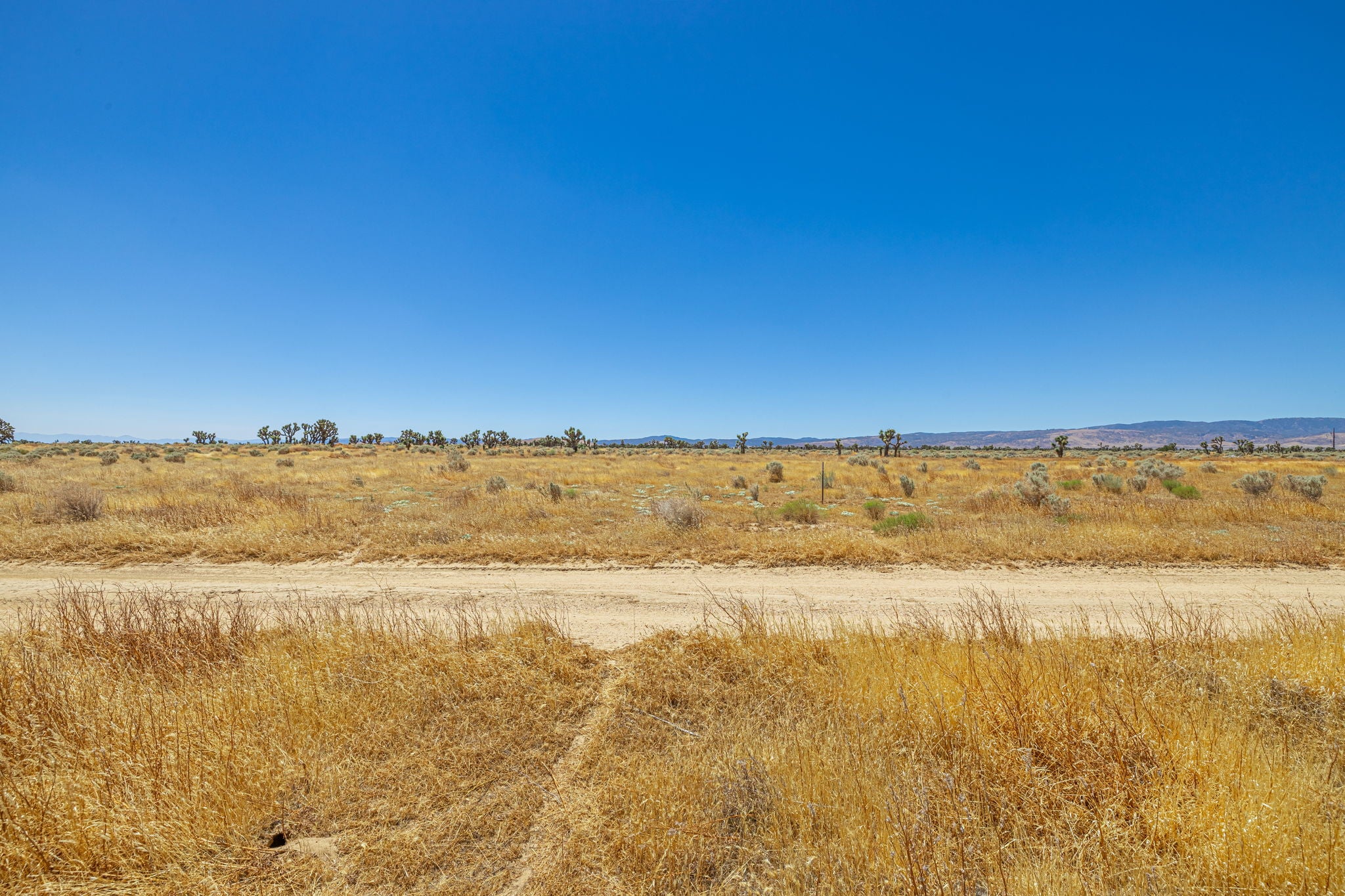 39.24 Acres Lancaster, Los Angeles County, CA