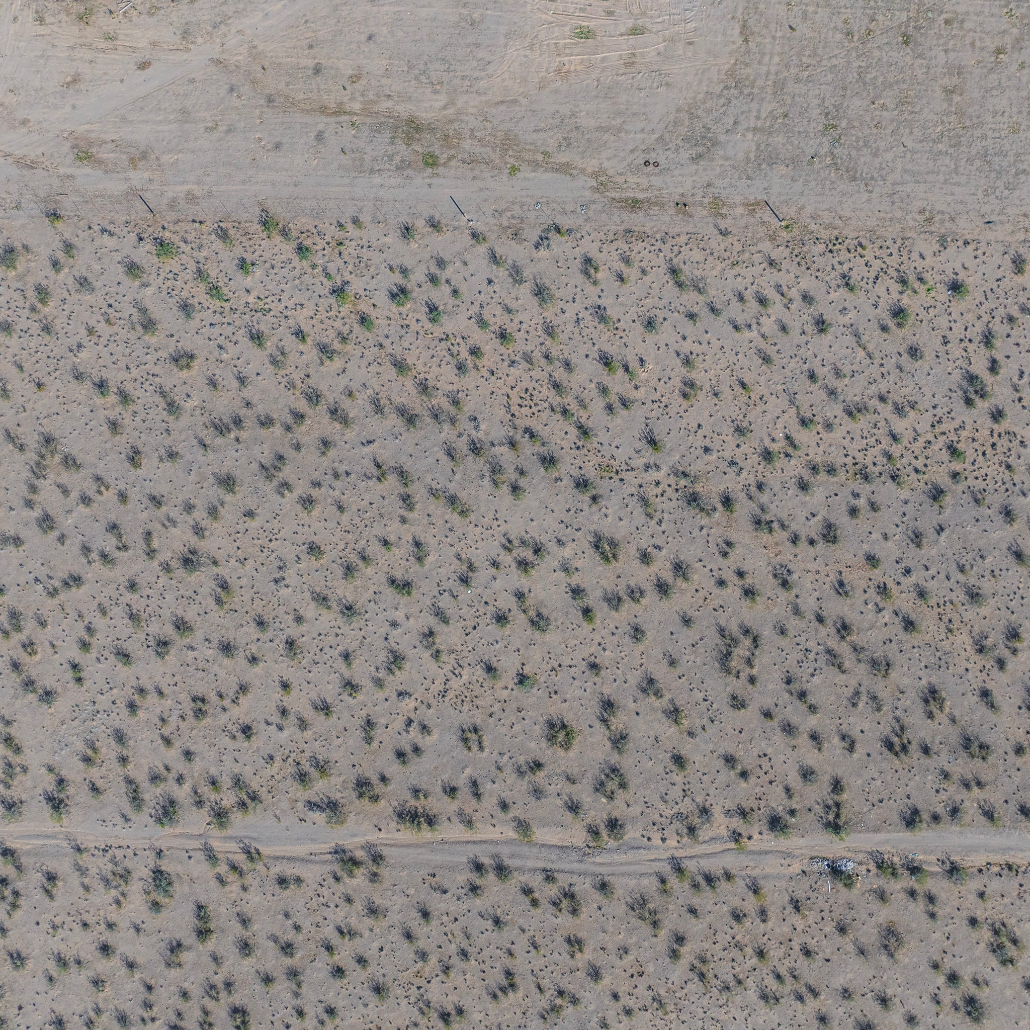 5 Acres Dolan Springs, Mohave County, AZ