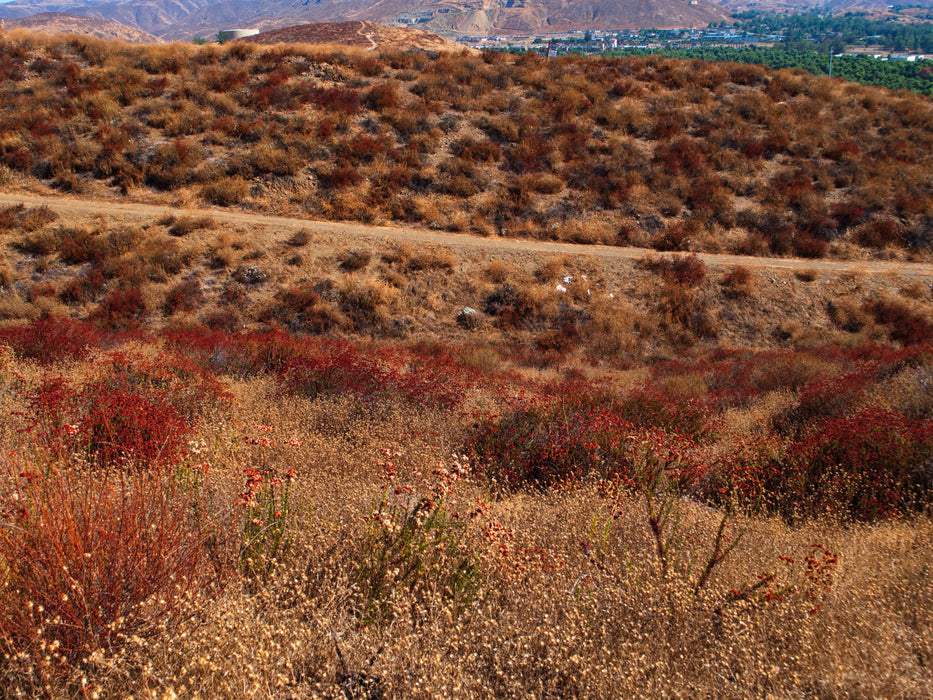 0.21 Acre Lake Elsinore, Riverside County, CA