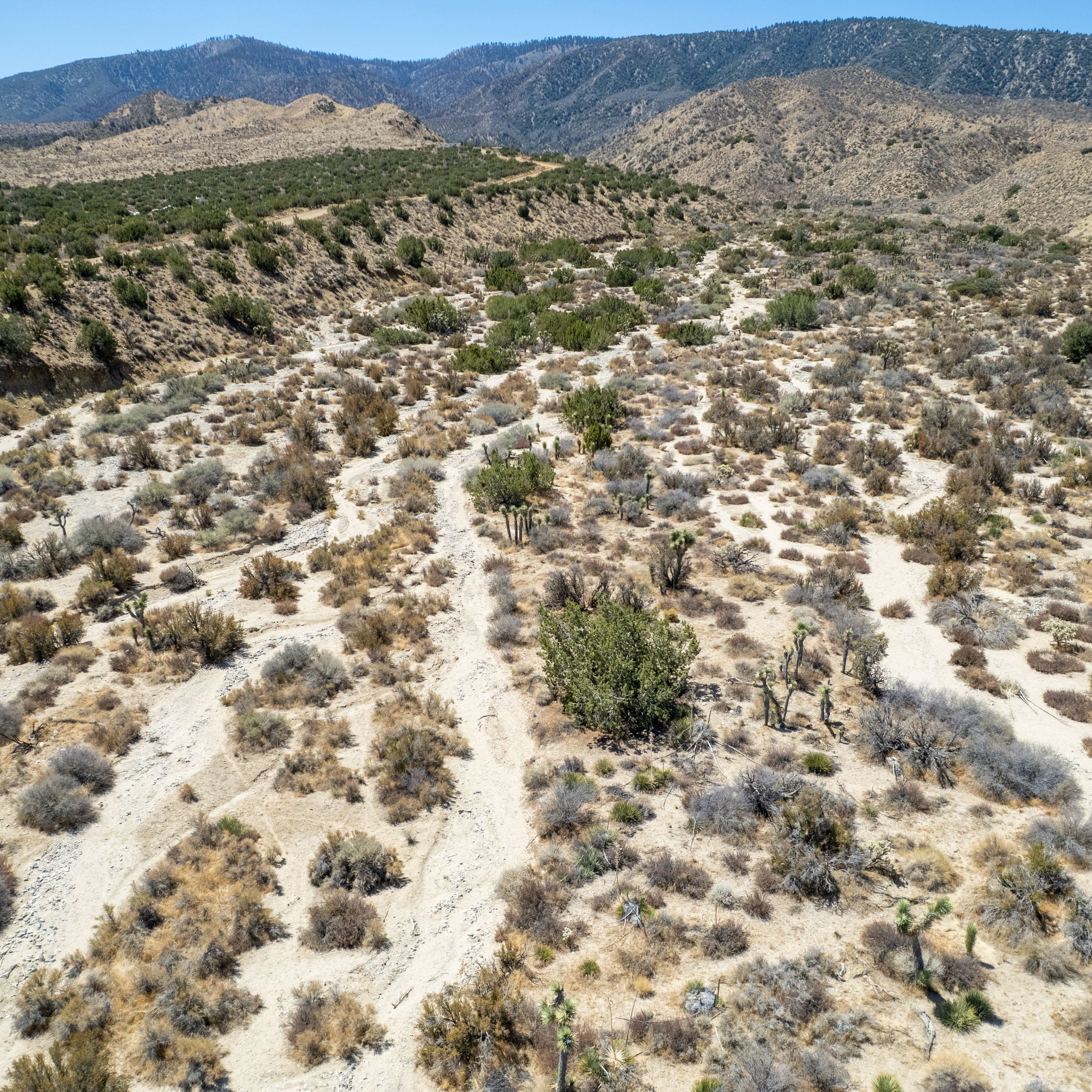 10 Acres Llano, Los Angeles County, CA (Power)