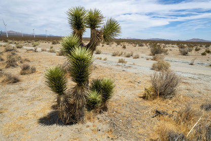 7.50 Acres Rosamond, Kern County, CA