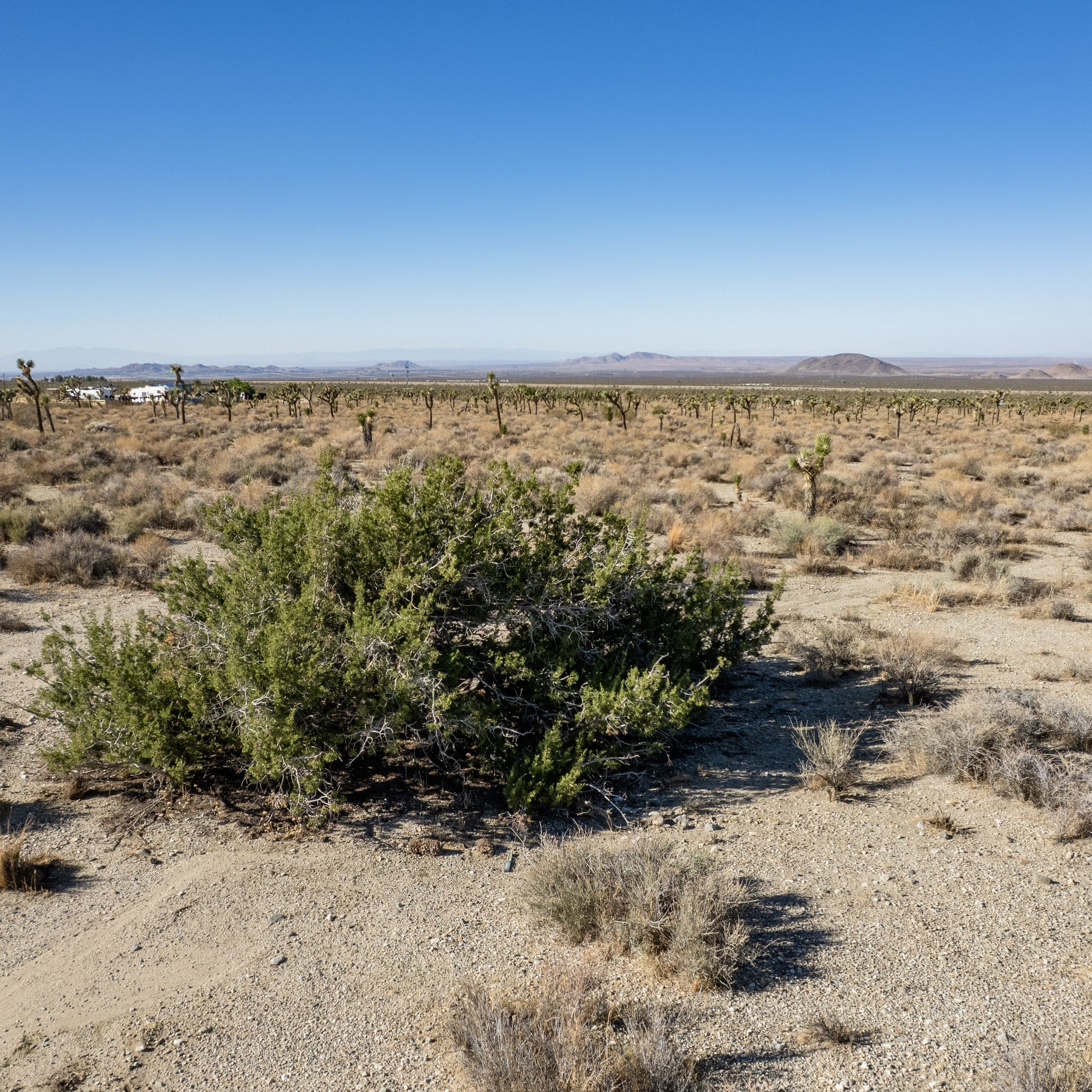 10 Acres Llano, Los Angeles County, CA