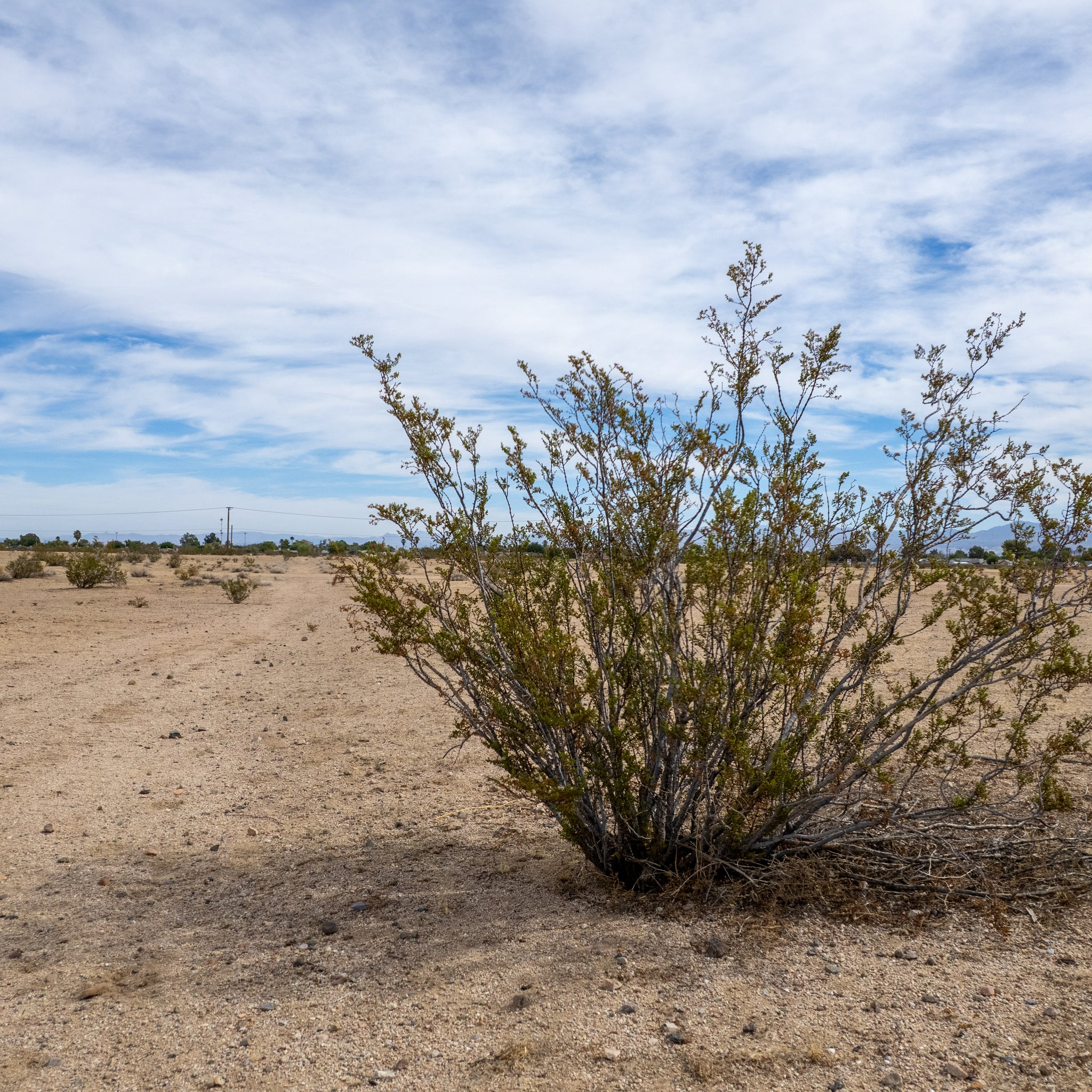 2.51 Acres Ridgecrest, Kern County, CA (Water)