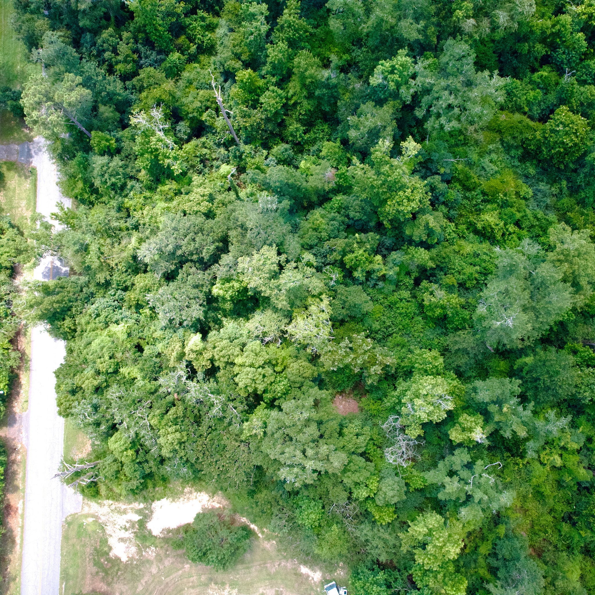 0.51 Acre Marianna, Jackson County, FL (Power, Water, & Paved Road)