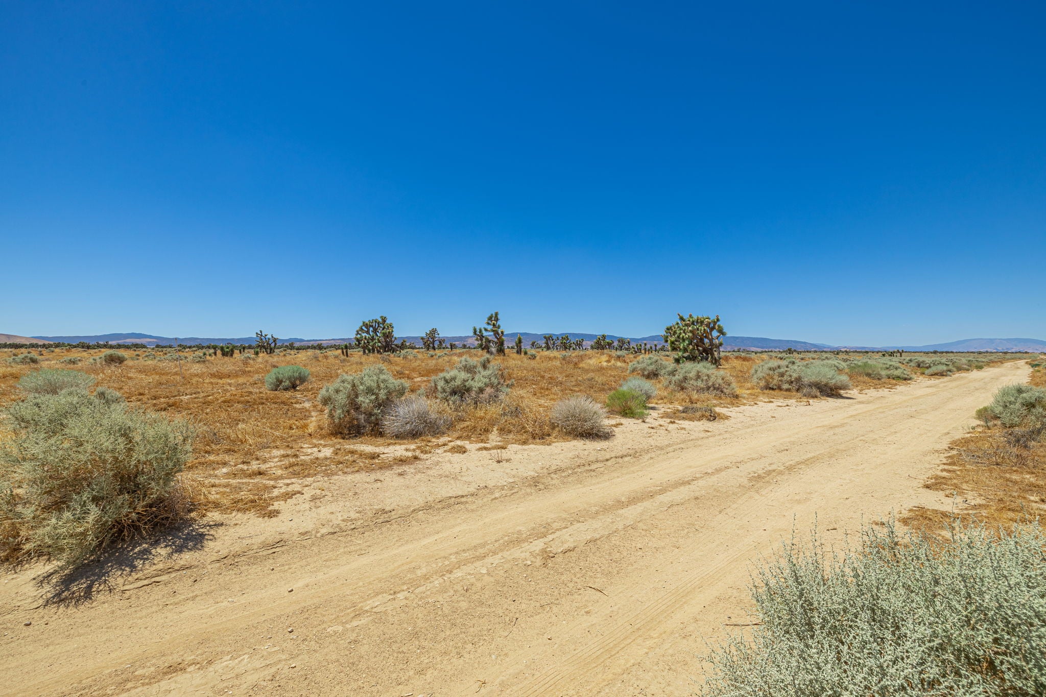 39.24 Acres Lancaster, Los Angeles County, CA