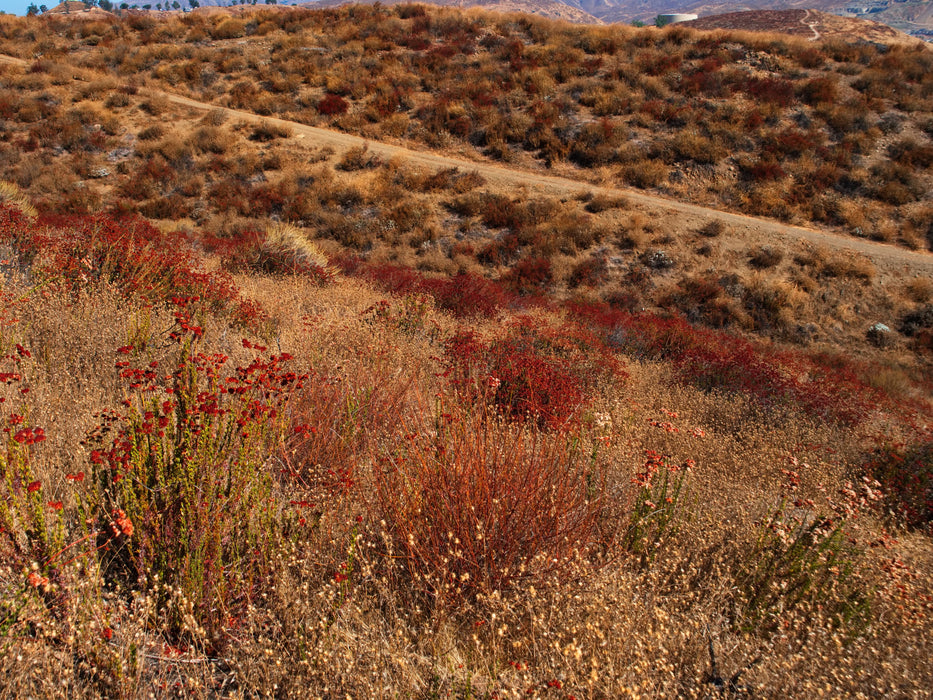 0.21 Acre Lake Elsinore, Riverside County, CA