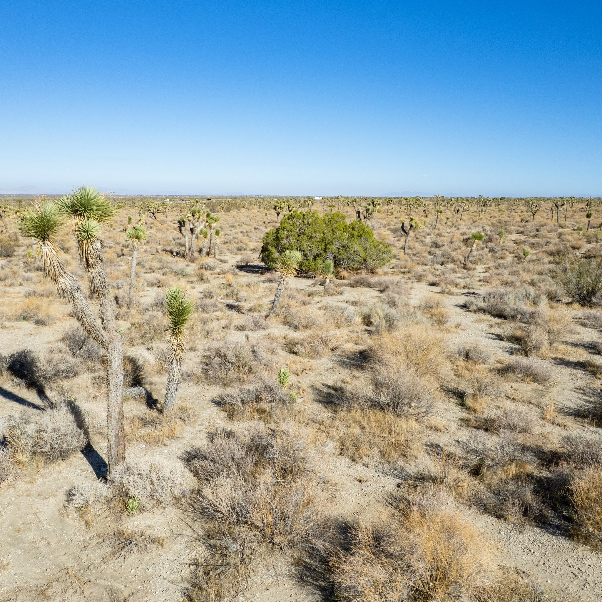 10 Acres Llano, Los Angeles County, CA