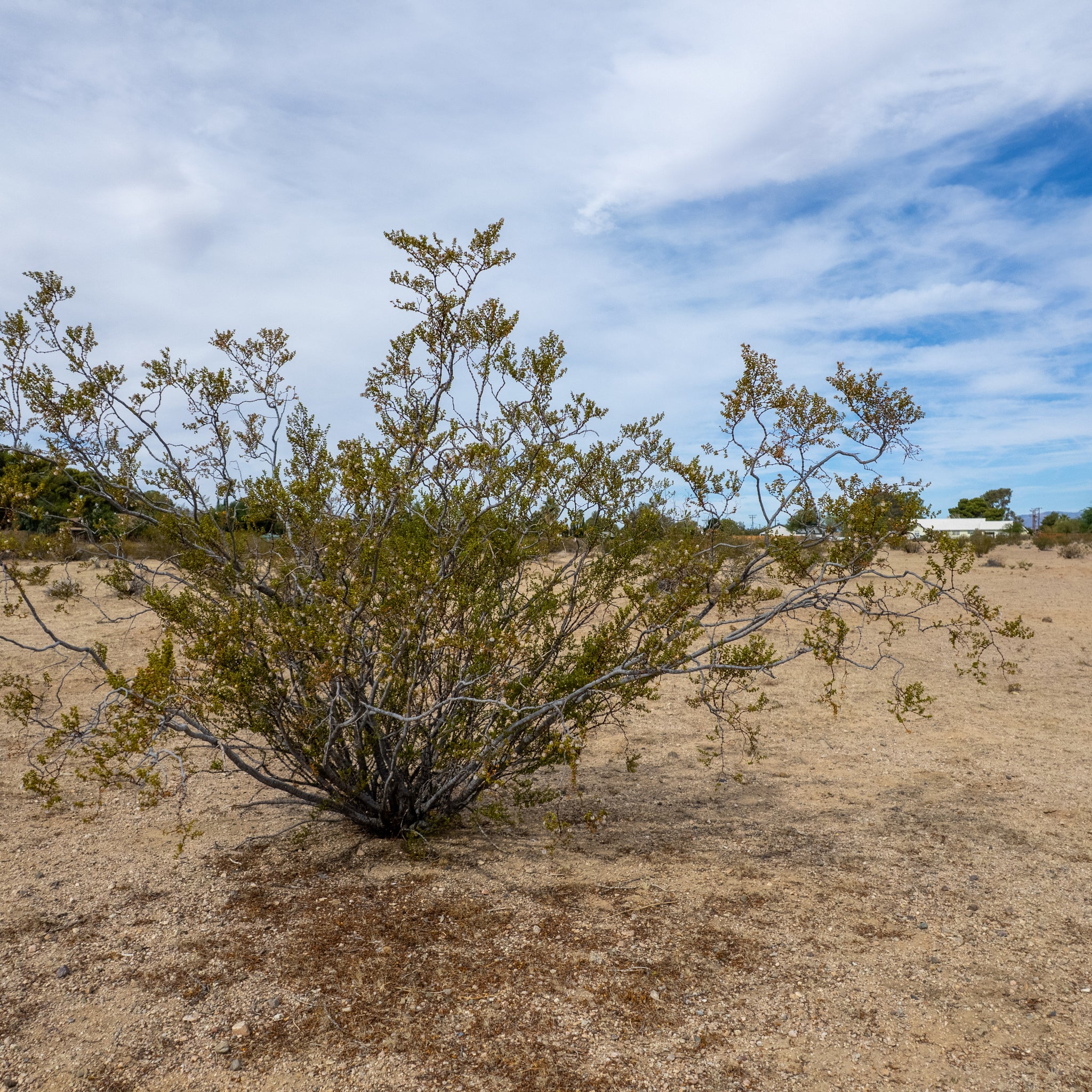 2.51 Acres Ridgecrest, Kern County, CA (Water)