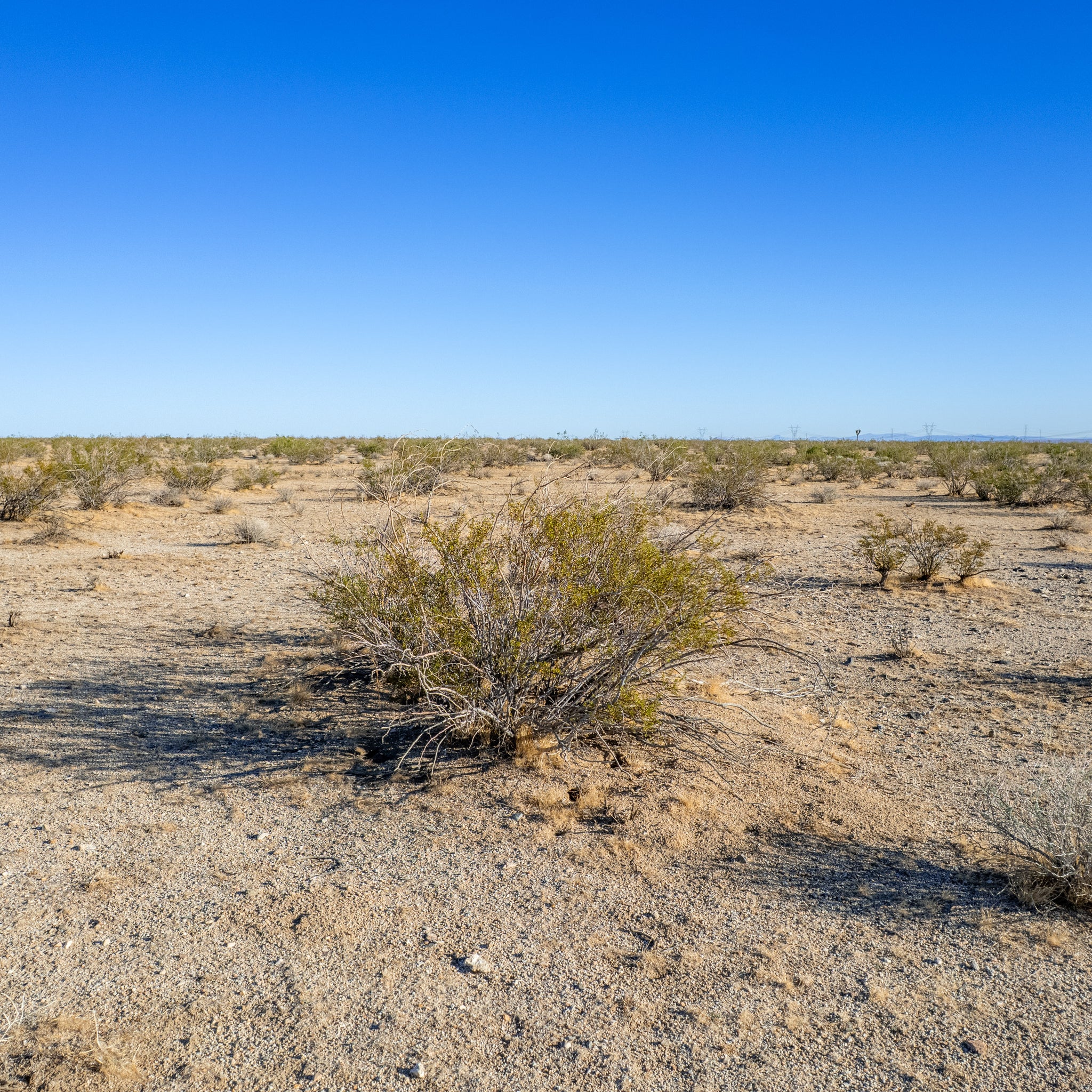 10 Acres Helendale, San Bernardino County, CA