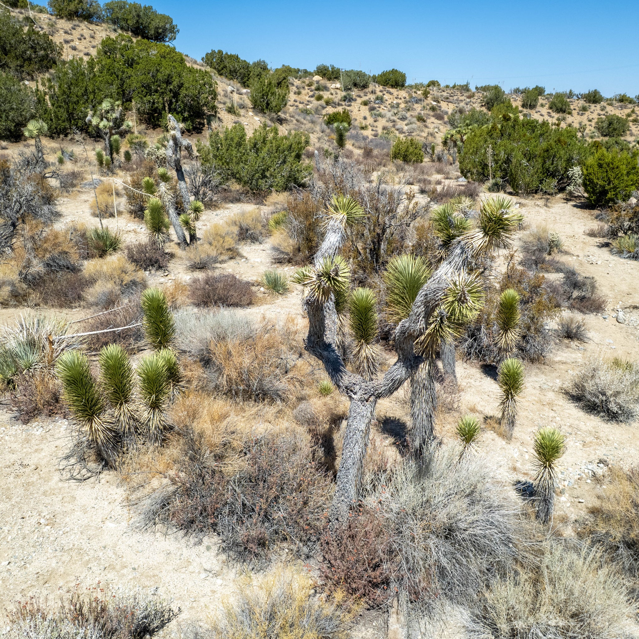 10 Acres Llano, Los Angeles County, CA (Power)