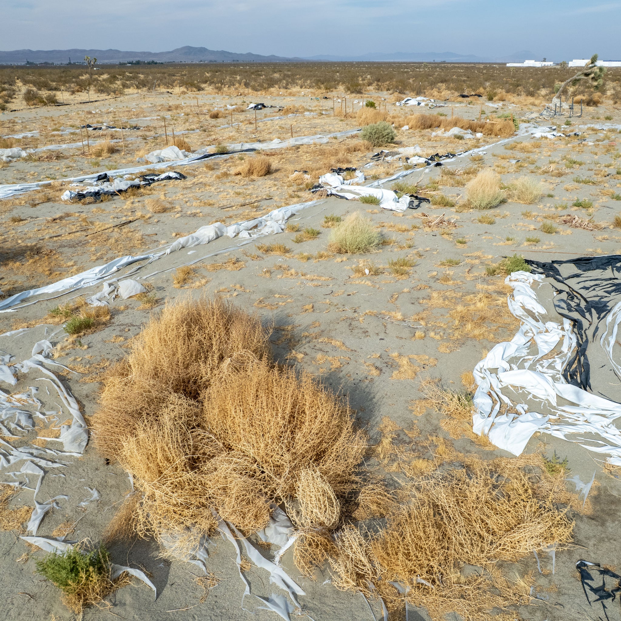10 Acres Adelanto, San Bernardino County, CA