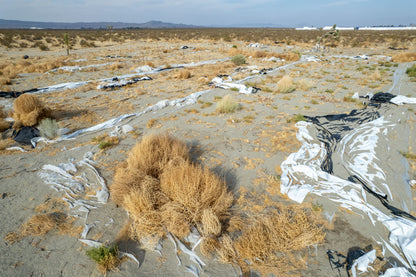 10 Acres Adelanto, San Bernardino County, CA