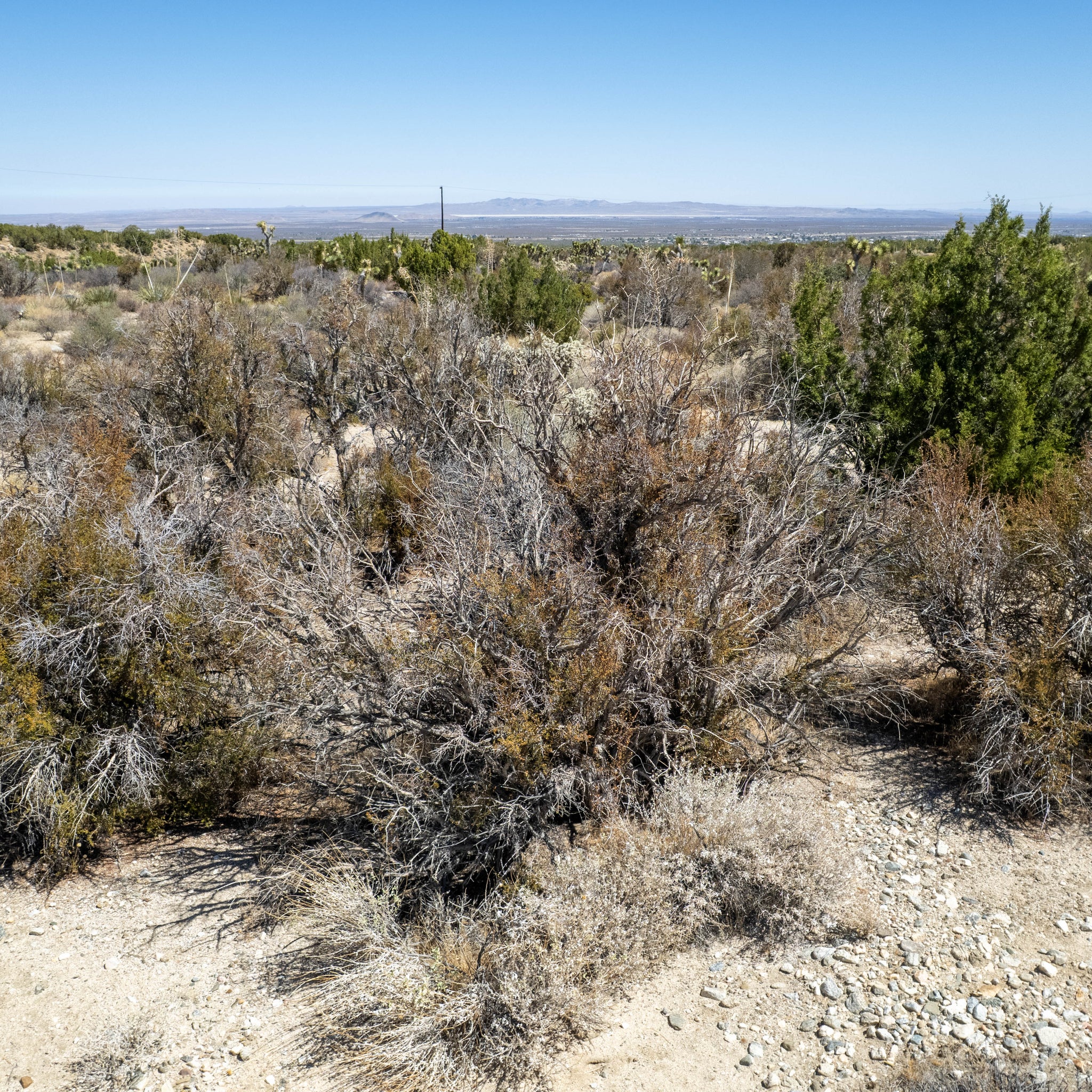 10 Acres Llano, Los Angeles County, CA (Power)