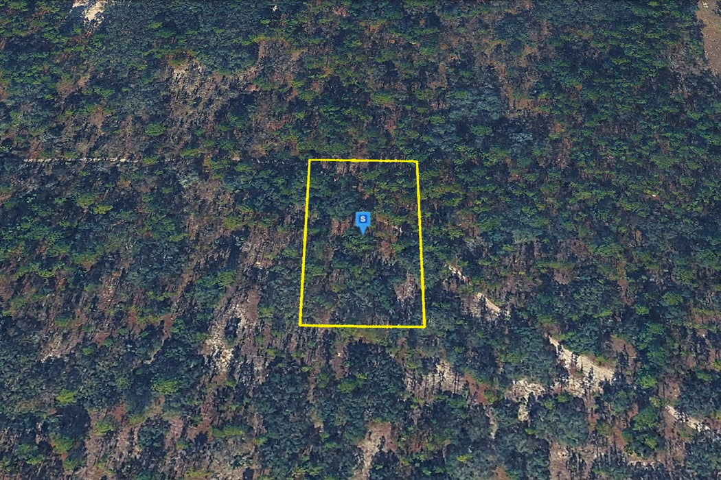 1.25 Acres Morriston, Levy County, FL