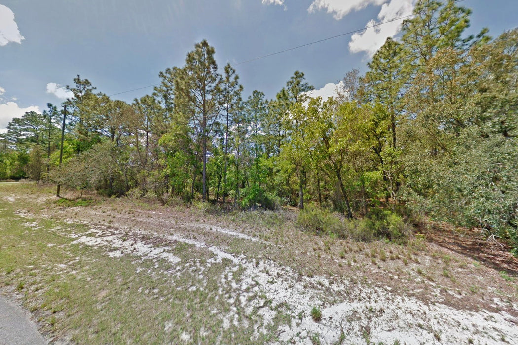 0.24 Acre Ocala, Marion County, FL (Power & Paved Road)