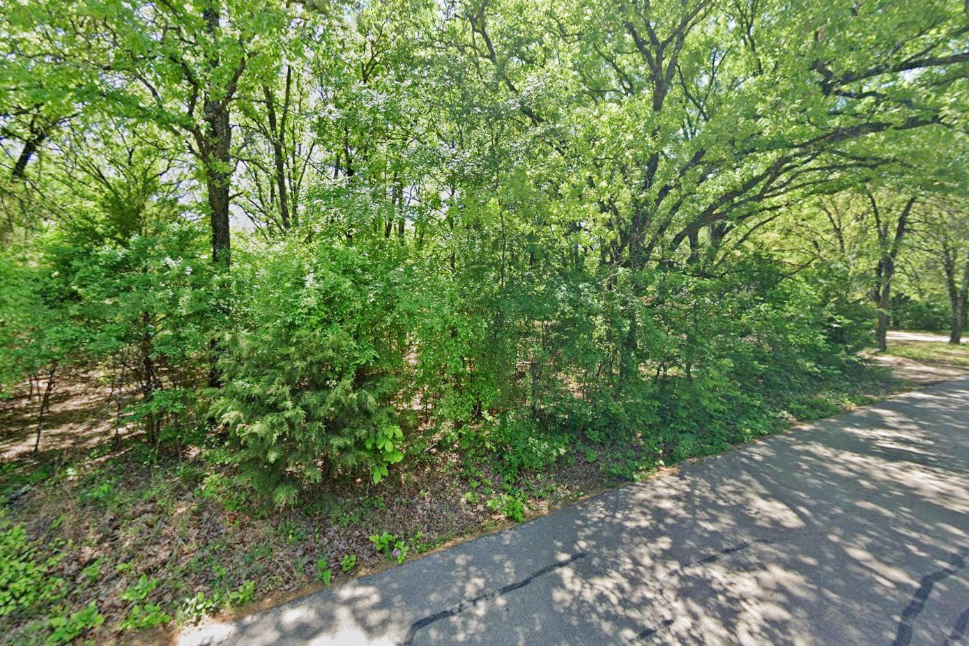 0.12 Acre Gun Barrel City, Henderson County, TX (Power, Water, & Paved Road)