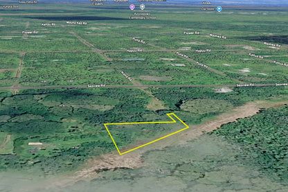 0.32 Acre Pāhoa, Hawaii County, HI (Power)