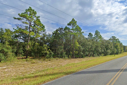 0.24 Acre Bronson, Levy County, FL (Power & Paved Road)