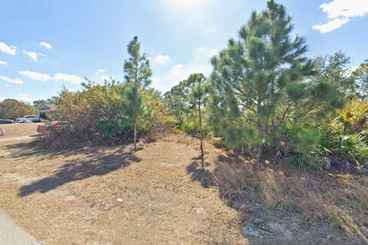 0.25 Acre Lehigh Acres, Lee County, FL (Power & Paved Road)