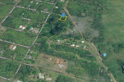 0.25 Acre Pāhoa, Hawaii County, HI (Power)